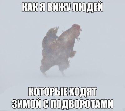 Èëëþñòðàöèÿ ê êîììåíòàðèþ