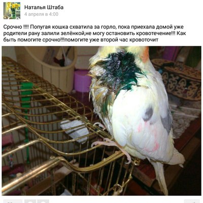 Иллюстрация к комментарию