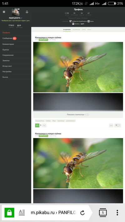 ����������� � �����������