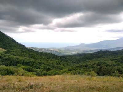 1503588586411510819 есть ли свободные номера