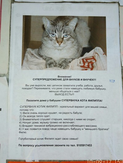 Иллюстрация к комментарию