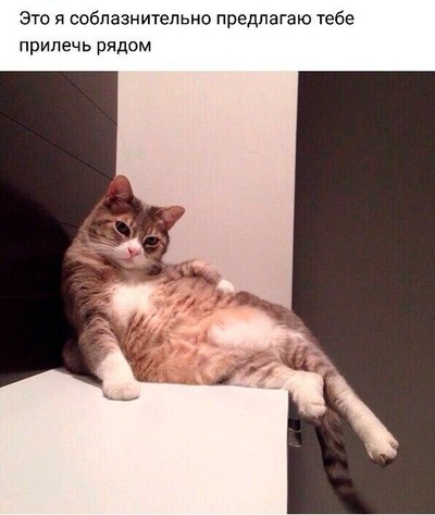 Иллюстрация к комментарию