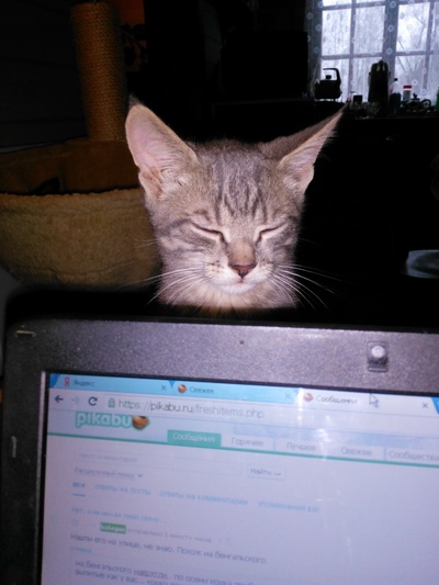 Иллюстрация к комментарию