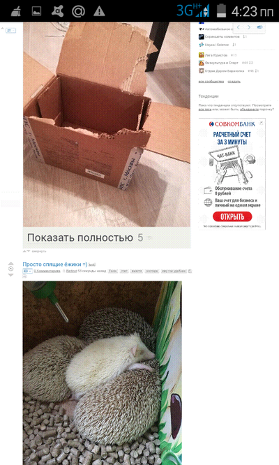 ����������� � �����������