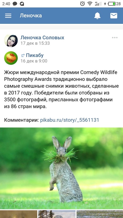 Иллюстрация к комментарию