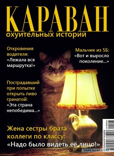 что значит взаимно вежливы. Смотреть фото что значит взаимно вежливы. Смотреть картинку что значит взаимно вежливы. Картинка про что значит взаимно вежливы. Фото что значит взаимно вежливы