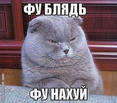 Что будет если облизать унитаз. 1514927113178119304. Что будет если облизать унитаз фото. Что будет если облизать унитаз-1514927113178119304. картинка Что будет если облизать унитаз. картинка 1514927113178119304.