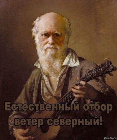Ну что ребят погнали. Смотреть фото Ну что ребят погнали. Смотреть картинку Ну что ребят погнали. Картинка про Ну что ребят погнали. Фото Ну что ребят погнали