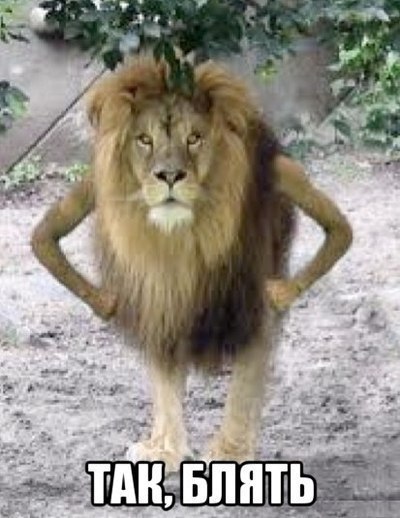 Èëëþñòðàöèÿ ê êîììåíòàðèþ