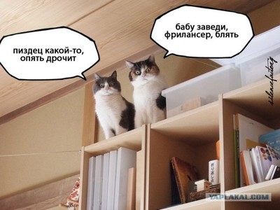 чего боятся начинающие фрилансеры. 1515269402170852984. чего боятся начинающие фрилансеры фото. чего боятся начинающие фрилансеры-1515269402170852984. картинка чего боятся начинающие фрилансеры. картинка 1515269402170852984. Мы все по природе трусы. Иначе мы бы не выжили. Нас истребили бы, если не саблезубые тигры, то уж точно сила тока или несущиеся на запредельных скоростях автомобили.