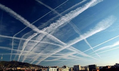 петров крест его листья не имеют зеленой окраски так как растение для жизни использует. Смотреть фото петров крест его листья не имеют зеленой окраски так как растение для жизни использует. Смотреть картинку петров крест его листья не имеют зеленой окраски так как растение для жизни использует. Картинка про петров крест его листья не имеют зеленой окраски так как растение для жизни использует. Фото петров крест его листья не имеют зеленой окраски так как растение для жизни использует