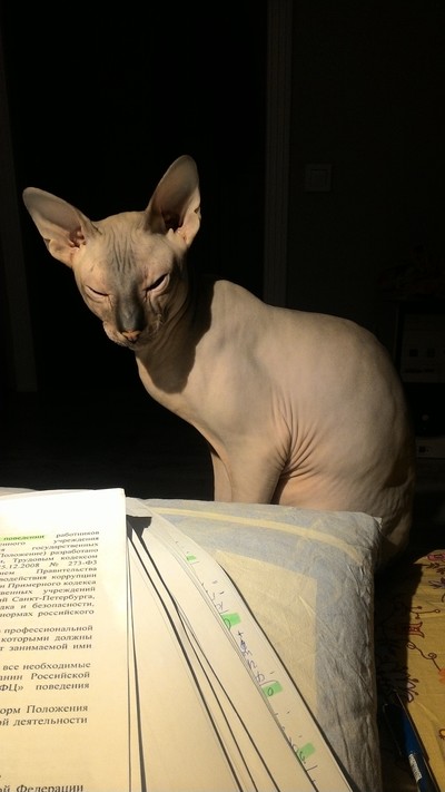 Иллюстрация к комментарию