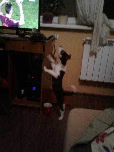 Иллюстрация к комментарию