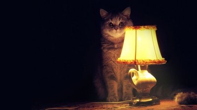 девочки такие девочки откуда пошло. Смотреть фото девочки такие девочки откуда пошло. Смотреть картинку девочки такие девочки откуда пошло. Картинка про девочки такие девочки откуда пошло. Фото девочки такие девочки откуда пошло
