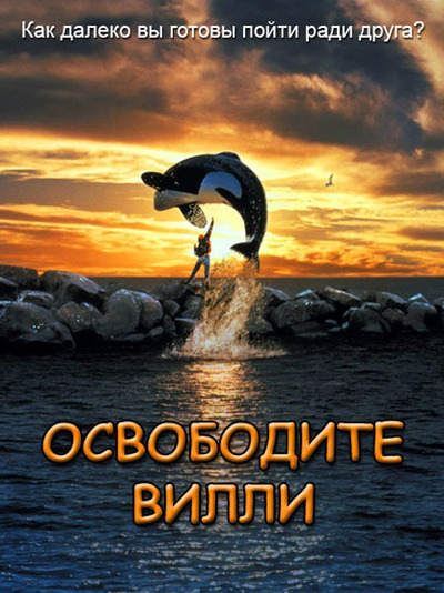 продолжительность жизни дельфинов в дельфинарии. Смотреть фото продолжительность жизни дельфинов в дельфинарии. Смотреть картинку продолжительность жизни дельфинов в дельфинарии. Картинка про продолжительность жизни дельфинов в дельфинарии. Фото продолжительность жизни дельфинов в дельфинарии