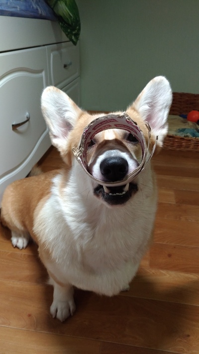 Иллюстрация к комментарию