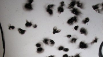 аэровафля это такое что. Смотреть фото аэровафля это такое что. Смотреть картинку аэровафля это такое что. Картинка про аэровафля это такое что. Фото аэровафля это такое что аэровафля это такое что. Смотреть фото аэровафля это такое что. Смотреть картинку аэровафля это такое что. Картинка про аэровафля это такое что. Фото аэровафля это такое что