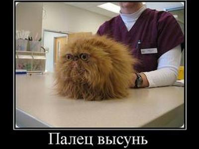 куда можно пристроить голубя в москве. Смотреть фото куда можно пристроить голубя в москве. Смотреть картинку куда можно пристроить голубя в москве. Картинка про куда можно пристроить голубя в москве. Фото куда можно пристроить голубя в москве куда можно пристроить голубя в москве. Смотреть фото куда можно пристроить голубя в москве. Смотреть картинку куда можно пристроить голубя в москве. Картинка про куда можно пристроить голубя в москве. Фото куда можно пристроить голубя в москве