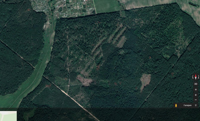 зачем китайцам русский лес. 1533827122156958320. зачем китайцам русский лес фото. зачем китайцам русский лес-1533827122156958320. картинка зачем китайцам русский лес. картинка 1533827122156958320. зачем китайцам русский лес. 1533827122156958320. зачем китайцам русский лес фото. зачем китайцам русский лес-1533827122156958320. картинка зачем китайцам русский лес. картинка 1533827122156958320.