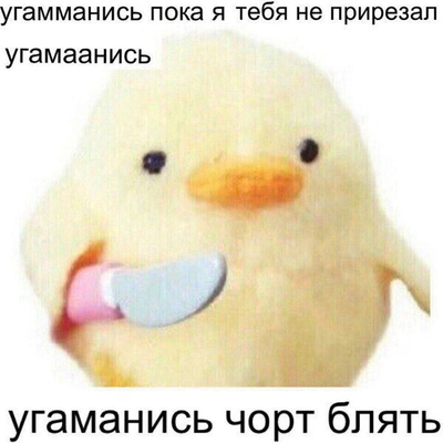 Что говорит уточка мем. Смотреть фото Что говорит уточка мем. Смотреть картинку Что говорит уточка мем. Картинка про Что говорит уточка мем. Фото Что говорит уточка мем