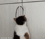 Как связать деньги резинкой. Смотреть фото Как связать деньги резинкой. Смотреть картинку Как связать деньги резинкой. Картинка про Как связать деньги резинкой. Фото Как связать деньги резинкой Как связать деньги резинкой. Смотреть фото Как связать деньги резинкой. Смотреть картинку Как связать деньги резинкой. Картинка про Как связать деньги резинкой. Фото Как связать деньги резинкой