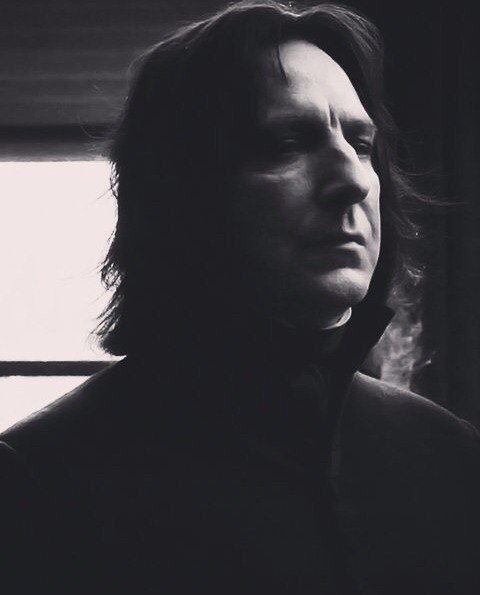 ���� ���� ������