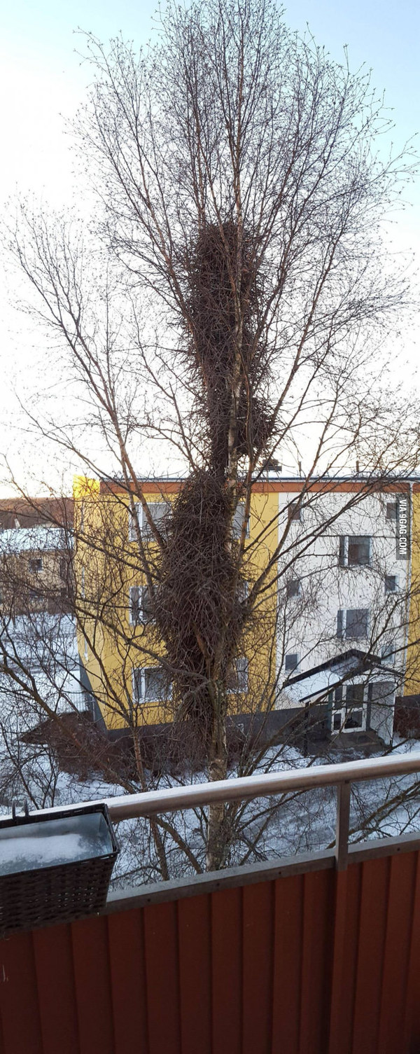 ���������  ��������