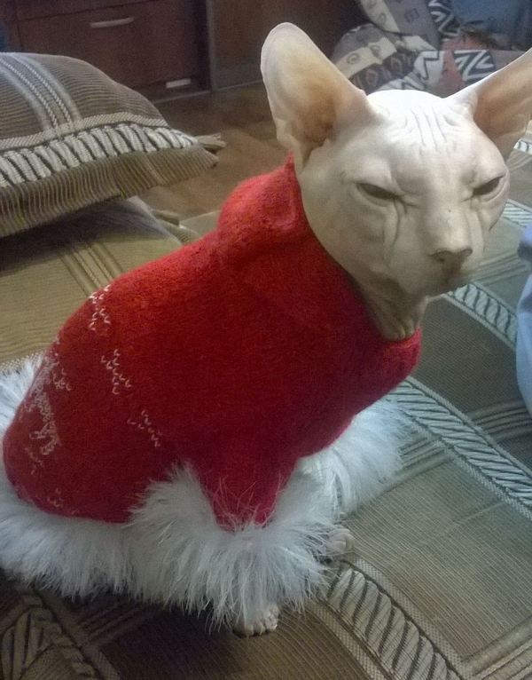 ��� ����� �� ����������