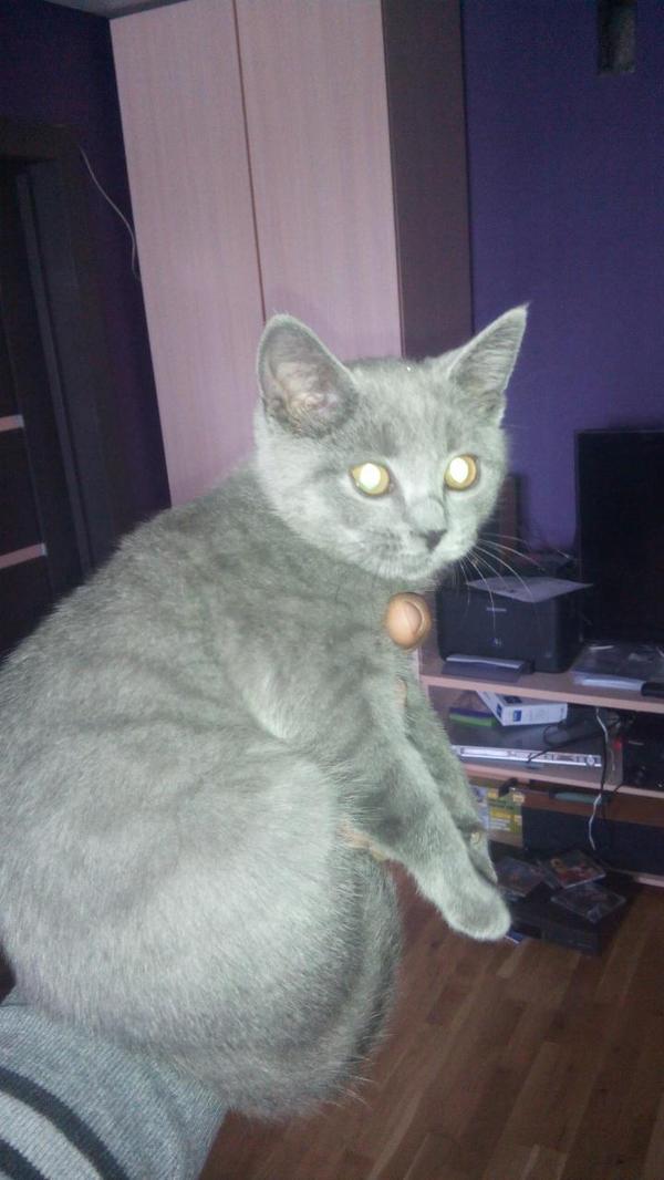 ������� ���� �����!!!