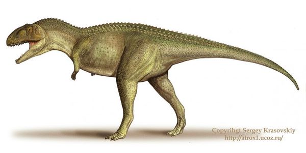 Tarascosaurus ,  , , Tarascosaurus, 