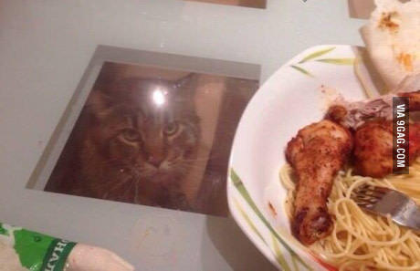 ��� ������, ����� ������� ����������� ����� �������� �������� ������ �����