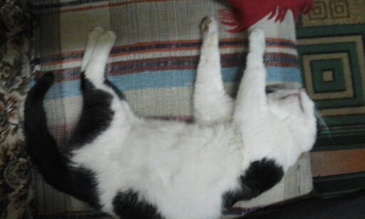 ������, � ���� ������ Pikabu!!!