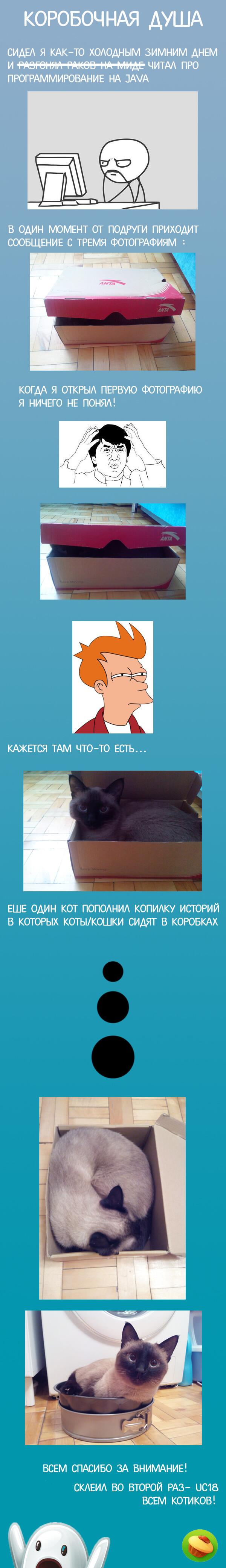 Коробочная душа