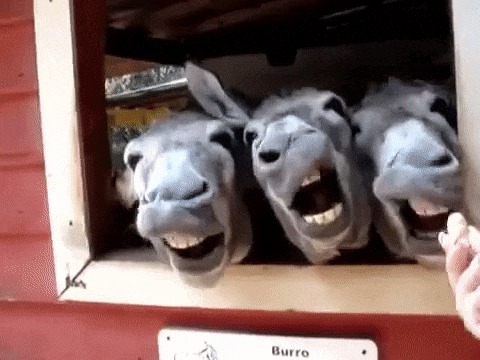 ...._  )))
