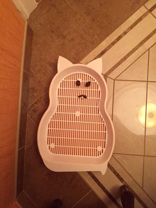 �����