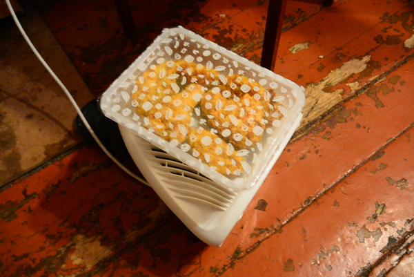 Когда нет микроволновки