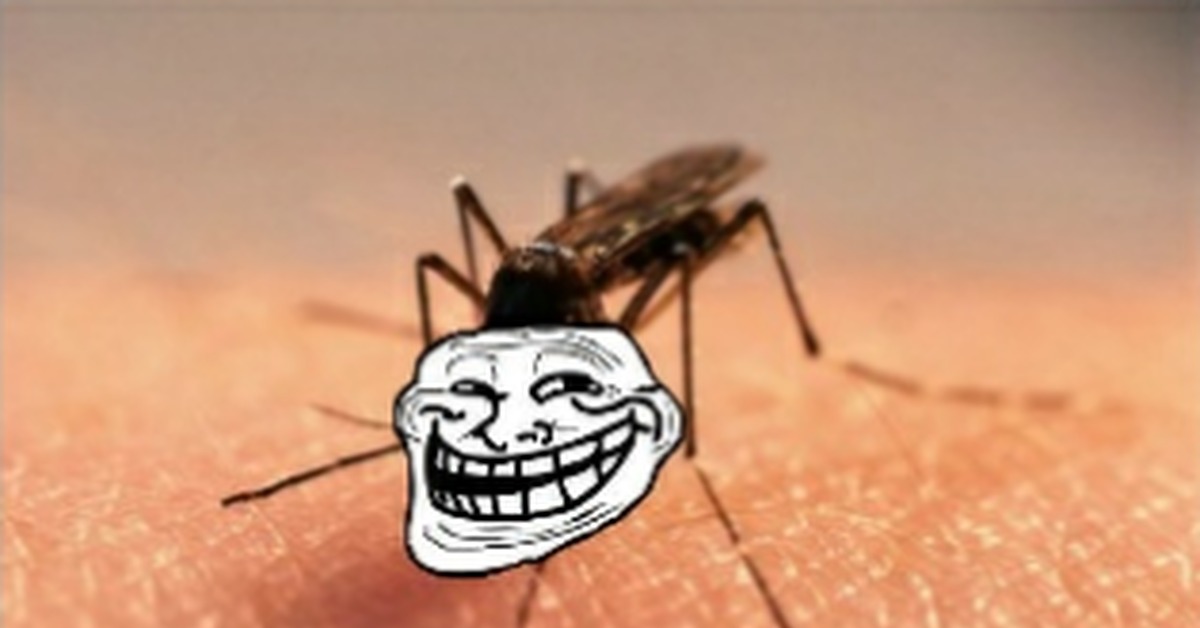 Комар смешной фото