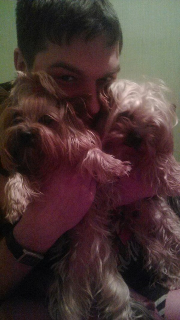 Любителям йориков