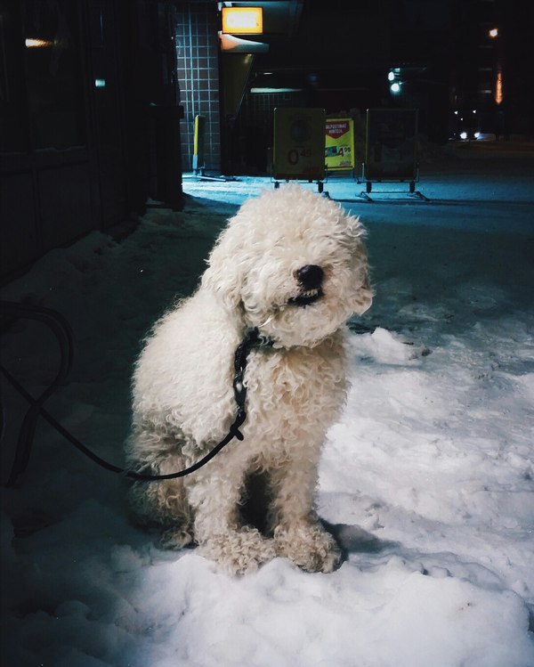 ��������. ���� �� ����� -20��