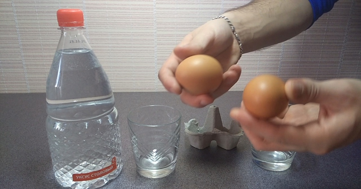 Яйцо поместить в воду. Опыт с яйцом и уксусом. Яйцо в уксусе эксперимент. Опыт с куриным яйцом и уксусом. Яйцо в уксусной кислоте.