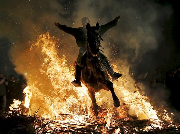 Если бы терминатор передвигался не на мотоцикле. (День святого Антонио – покровителя животных)