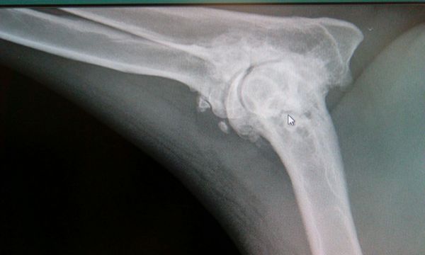 ���������� ����� ������