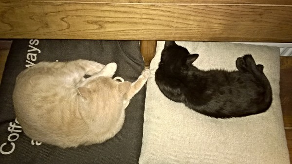 ������ � �����.