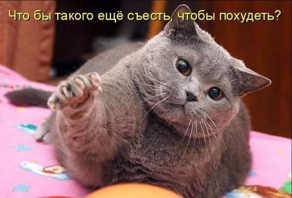 ���� ��� �� ����...?