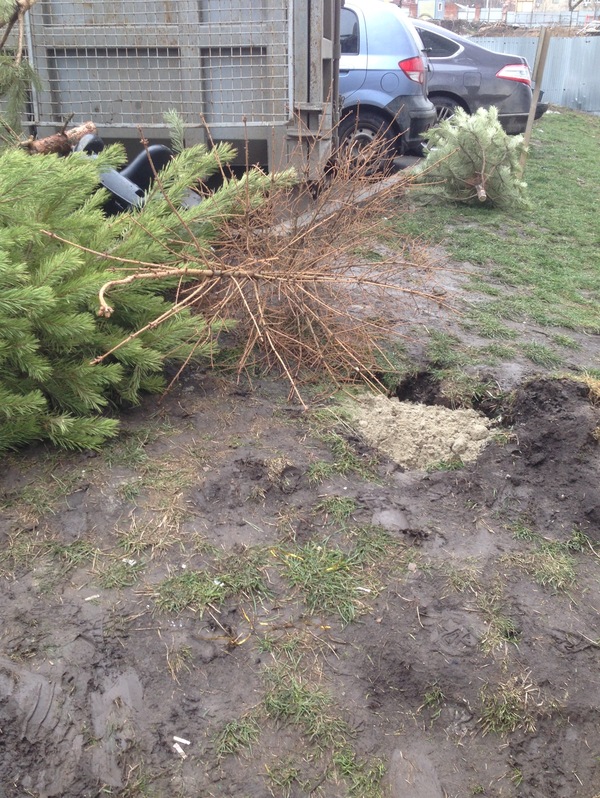 � ��� ���� ������ ������