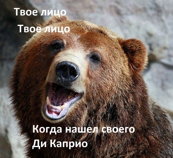 ������� �����