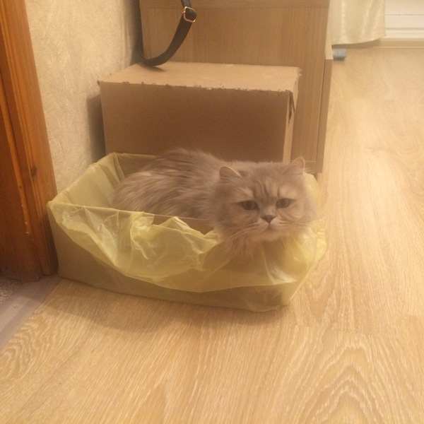 ������� �� ��������