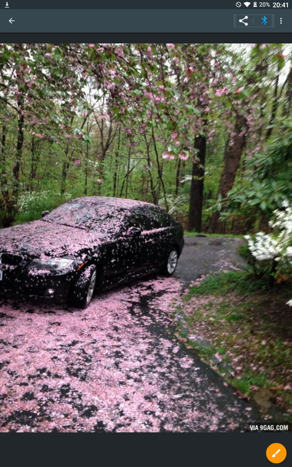 Упавшие листья на машине