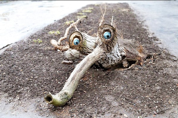 ��� ����� ����� ���� � ��� � ������)