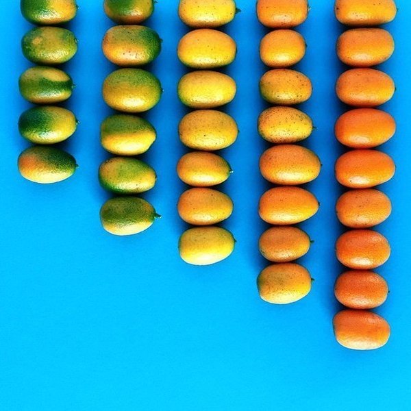       , , , , , , 